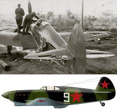 Attēlu rezultāti vaicājumam “Gelechia jakovlevi”