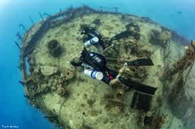 Image result for Exe To Sea Diving