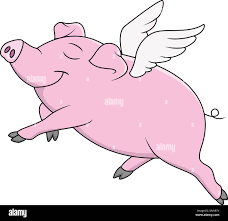 Image result for flying pigs