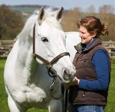 Image result for Lower Farm Stables