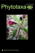 Attēlu rezultāti vaicājumam “Symphytocarpus trechisporus spores”