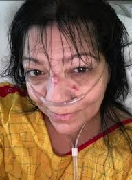 Attēlu rezultāti vaicājumam “Pandemis cinnamomeana female”