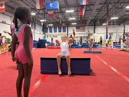 Image result for Redcar School Of Gymnastics
