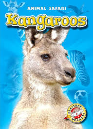 Image result for Reading Kangaroos