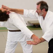 Image result for Ynys Mon Shukokai Karate Club, North Wales