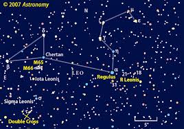 Image result for Leo Twirlstars