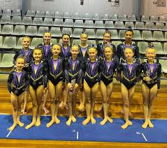 Image result for Tamworth Olympic Gymnastics Club