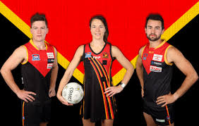 Image result for Heatherton village fc