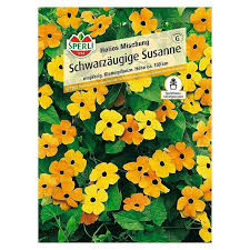 Image result for schwarzäugige Susanne