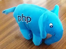 Image result for elephpant