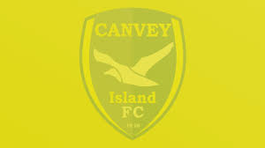 Image result for Benfleet Football Club