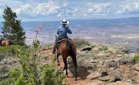 Image result for Elstead Riding Club