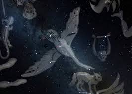 Attēlu rezultāti vaicājumam “Cygnus”