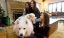 AMY CHUA: 'I'm going to take all your stuffed animals and burn ...
