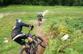 Image result for Millbrook Smbc