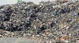 Image result for Bangalore Garbage