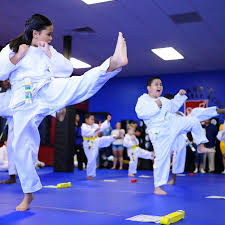 Image result for America's Best Karate