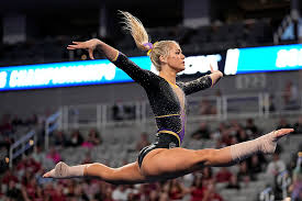 Image result for Brighton & Hove Gymnastics Club