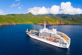 Attēlu rezultāti vaicājumam “Aranei exuvia”