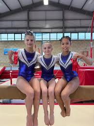 Image result for Arabian School Of Gymnastics