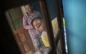 Image result for агент оранж