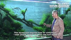 Znalezione obrazy dla zapytania takashi amano%