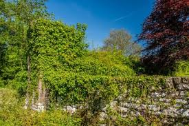 Image result for Whitland