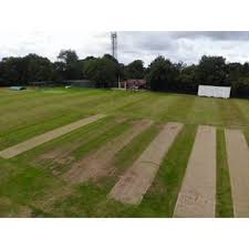 Image result for Reed Cricket Club