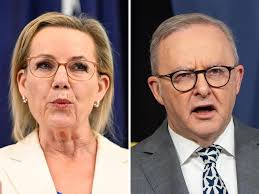 Image result for "Peter Truong" Mark Newton