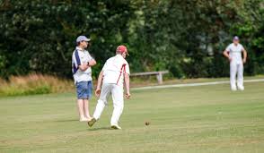 Image result for Ashdon Cricket Club