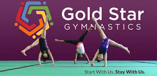 Image result for Gym Stars