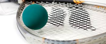 Image result for New Bexley Badminton Club