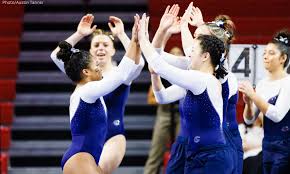 Image result for Carousel School Of Gymnastics