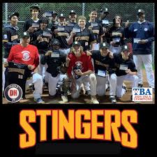 Image result for Stingers Korfball Club