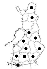 Attēlu rezultāti vaicājumam “Pohlia sphagnicola”
