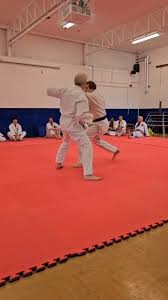 Image result for A BRITISH JUJITSU RYU in Lancing