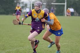 Image result for Green Isle Camogie Club - Players Wanted!