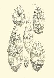 Image result for feuille-laurier-silex