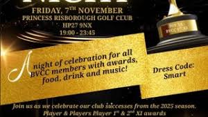 Image result for Ballinger Waggoners Cricket Club