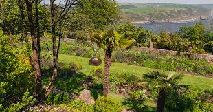 Image result for Kingsbridge Archers, Devon