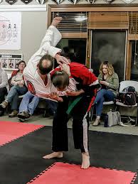 Image result for Windsor Karate Club
