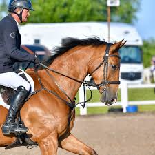Image result for Jp-Sheffield Eventing