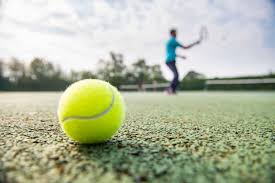Image result for Swanmore Lawn Tennis Club