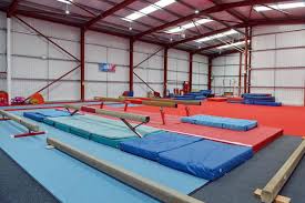 Image result for Sheredes Gymnastics Club