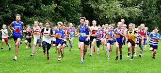 Image result for Louth Athletic Club