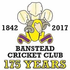 Image result for Ashtead Cricket Club