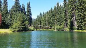 Image result for Leek Park B C