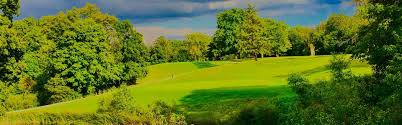 Image result for Flint Golf Club