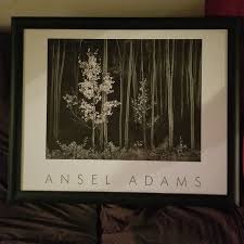 Image result for Ansel Adams Aspens New Mexico