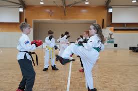 Image result for Phil Little Choi Kwang Do Academy